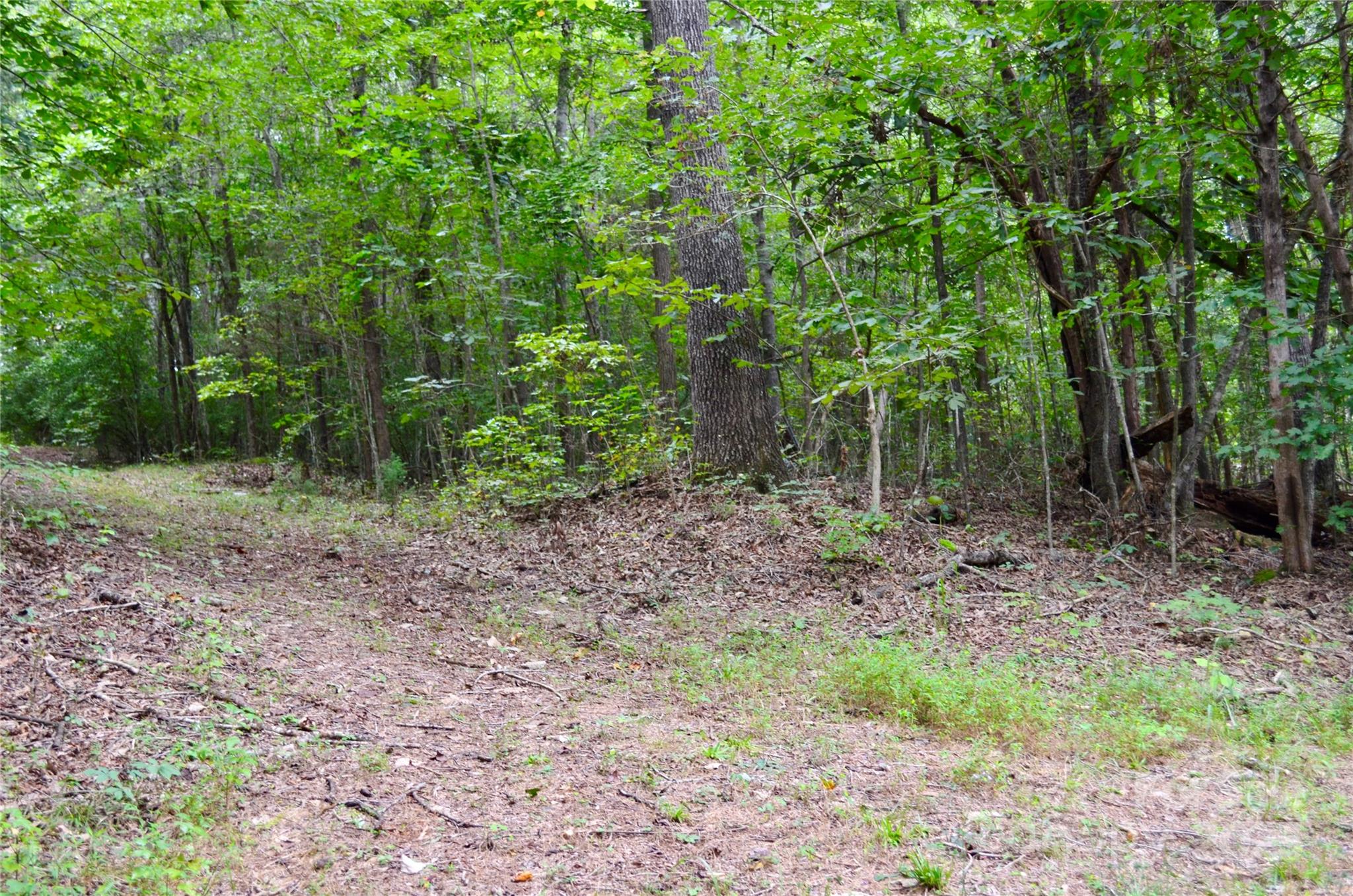 0 Brackett Road Forest City, NC 28043 - Photo 17 of 19 Gallery Image 17