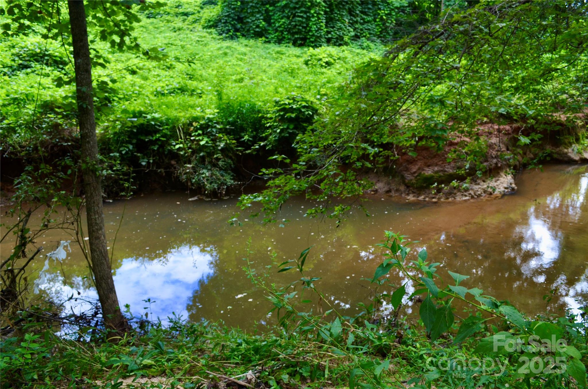 0 Brackett Road Forest City, NC 28043 - Photo 8 of 19 Gallery Image 8