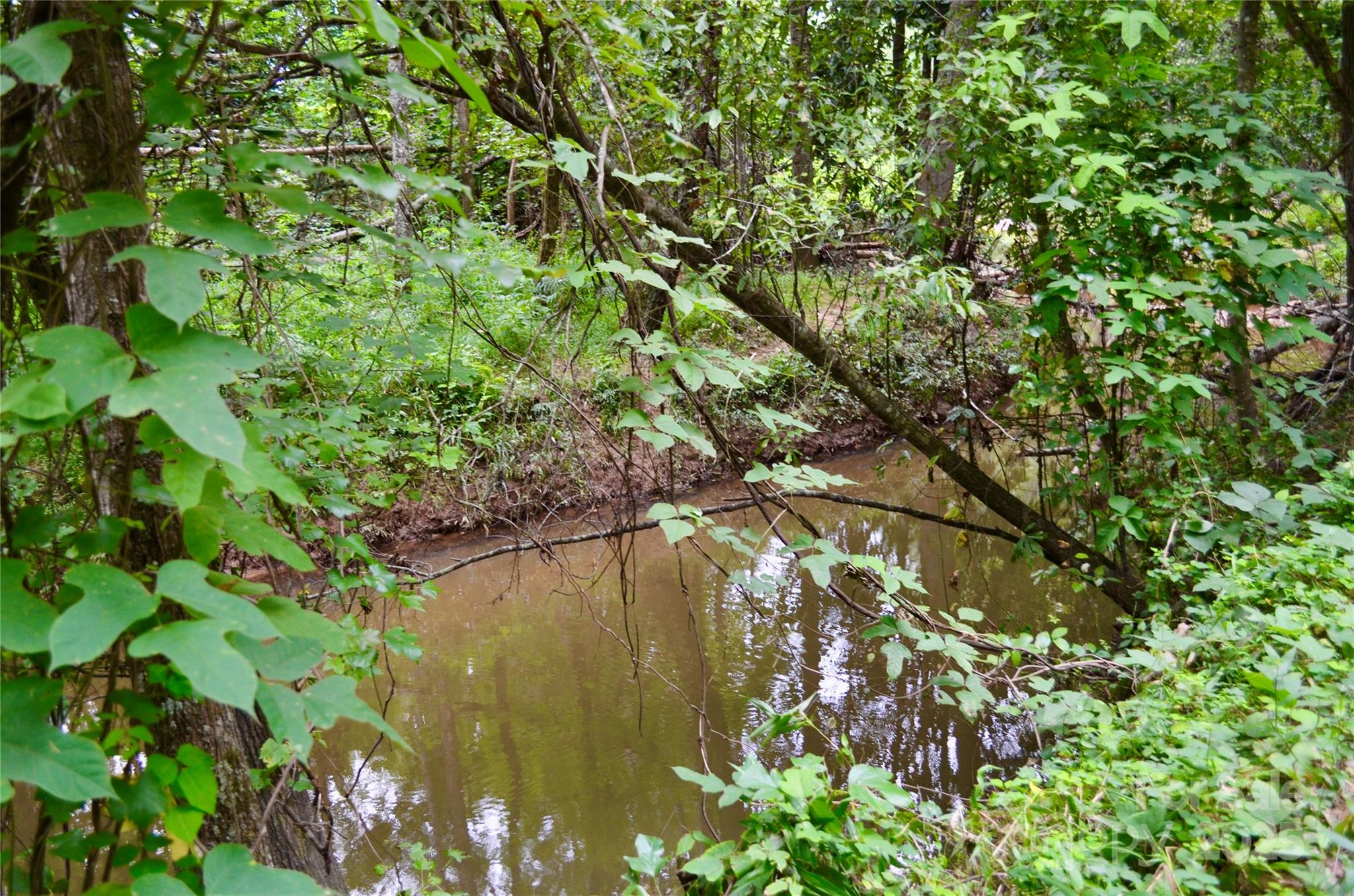 0 Brackett Road Forest City, NC 28043 - Photo 10 of 19 Gallery Image 10