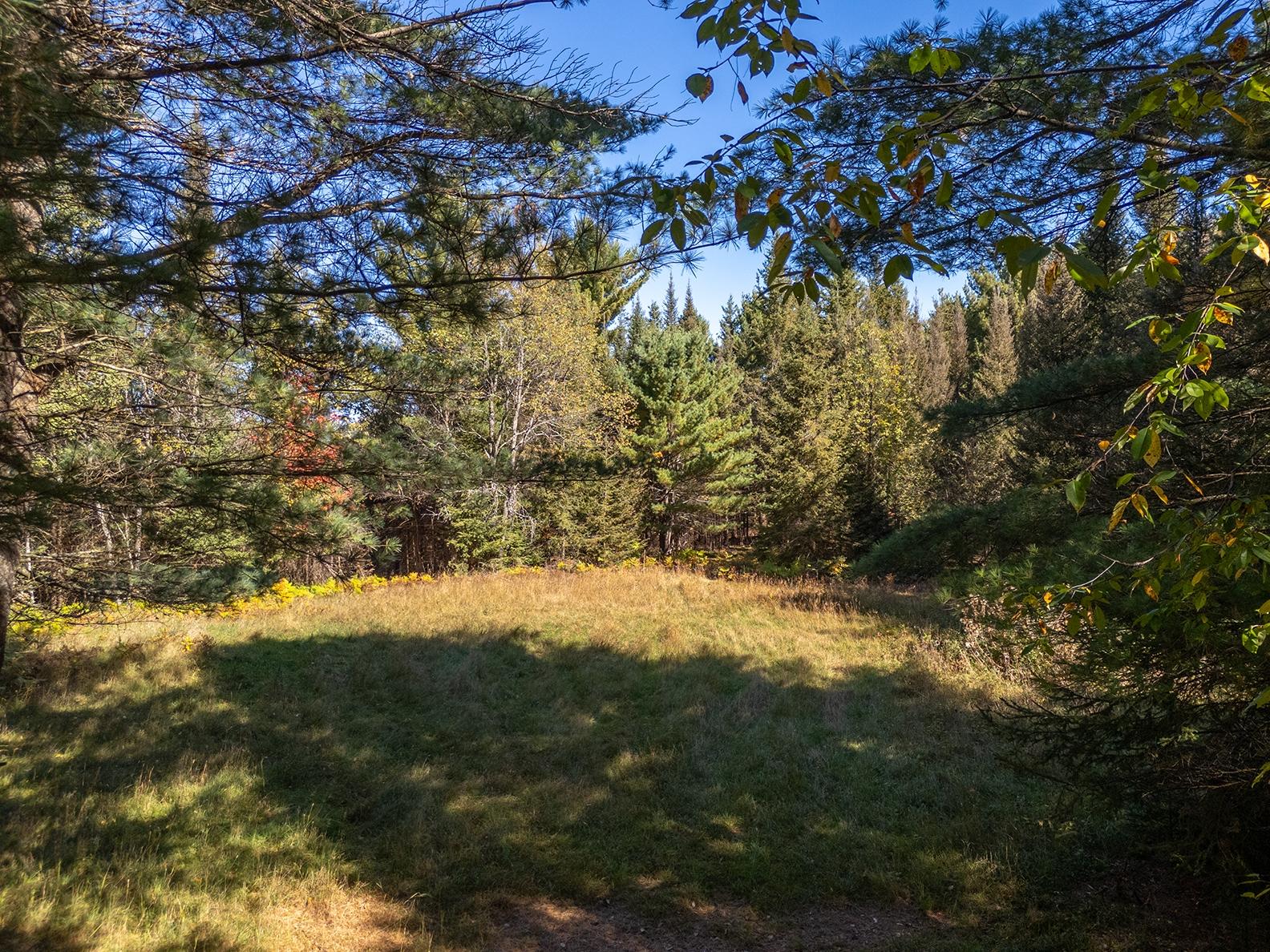 3922 Tre Fiske Road Rhinelander, WI 54501 - Photo 5 of 38 Gallery Image 5