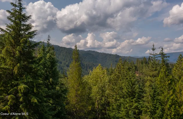 $350,000 | Nna Nna Mountain Ridge Lane, Kingston, ID 83839