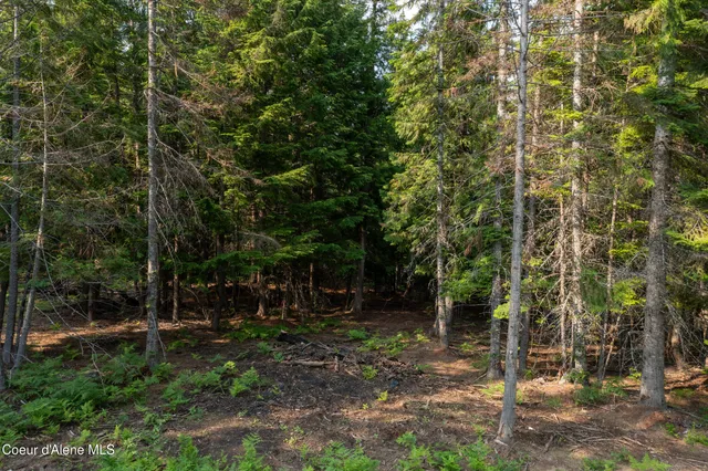 $350,000 | Nna Nna Mountain Ridge Lane, Kingston, ID 83839