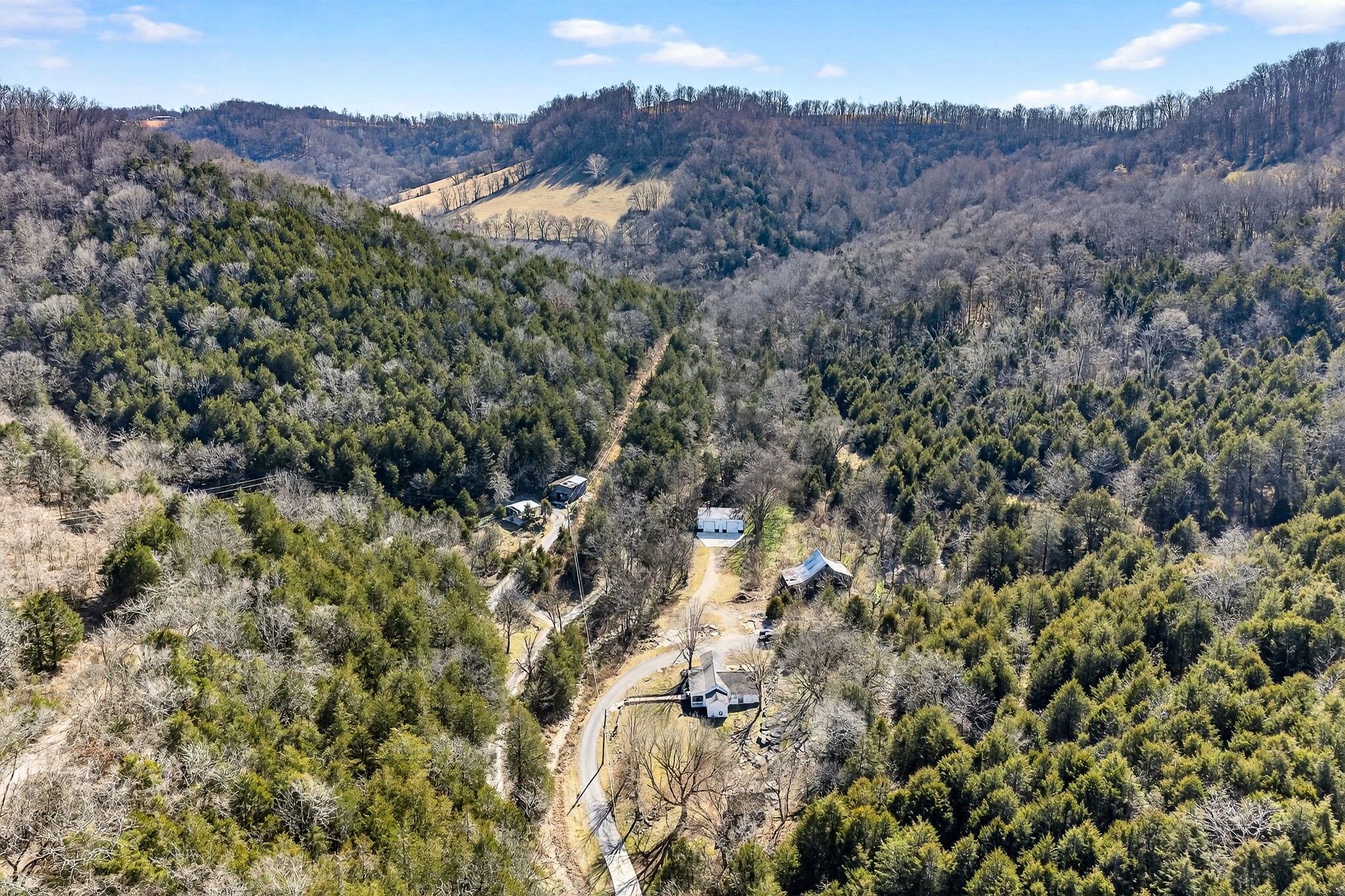 1700 Hannah Branch Road Liberty, TN 37095 - Photo 36 of 59 a view of a forest with a mountain in the background