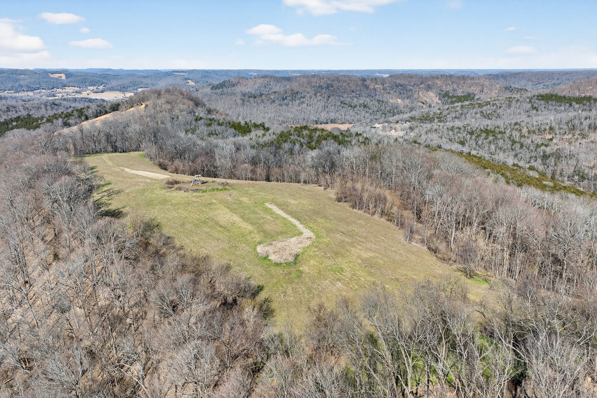 1700 Hannah Branch Road Liberty, TN 37095 - Photo 39 of 59 a view of a dry yard with wooden floor