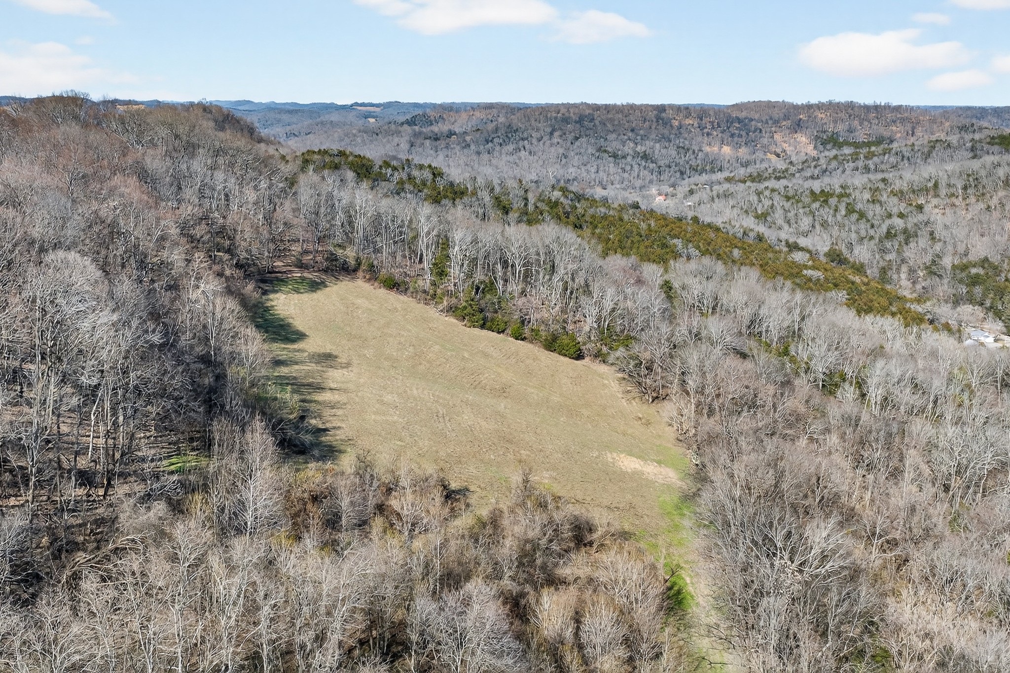 1700 Hannah Branch Road Liberty, TN 37095 - Photo 40 of 59 a view of a dry yard