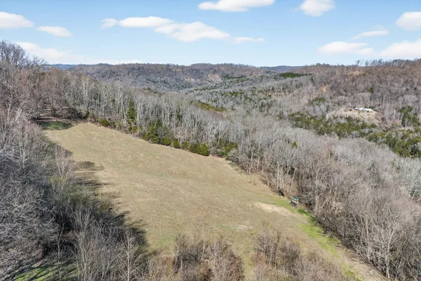 an aerial view of forest