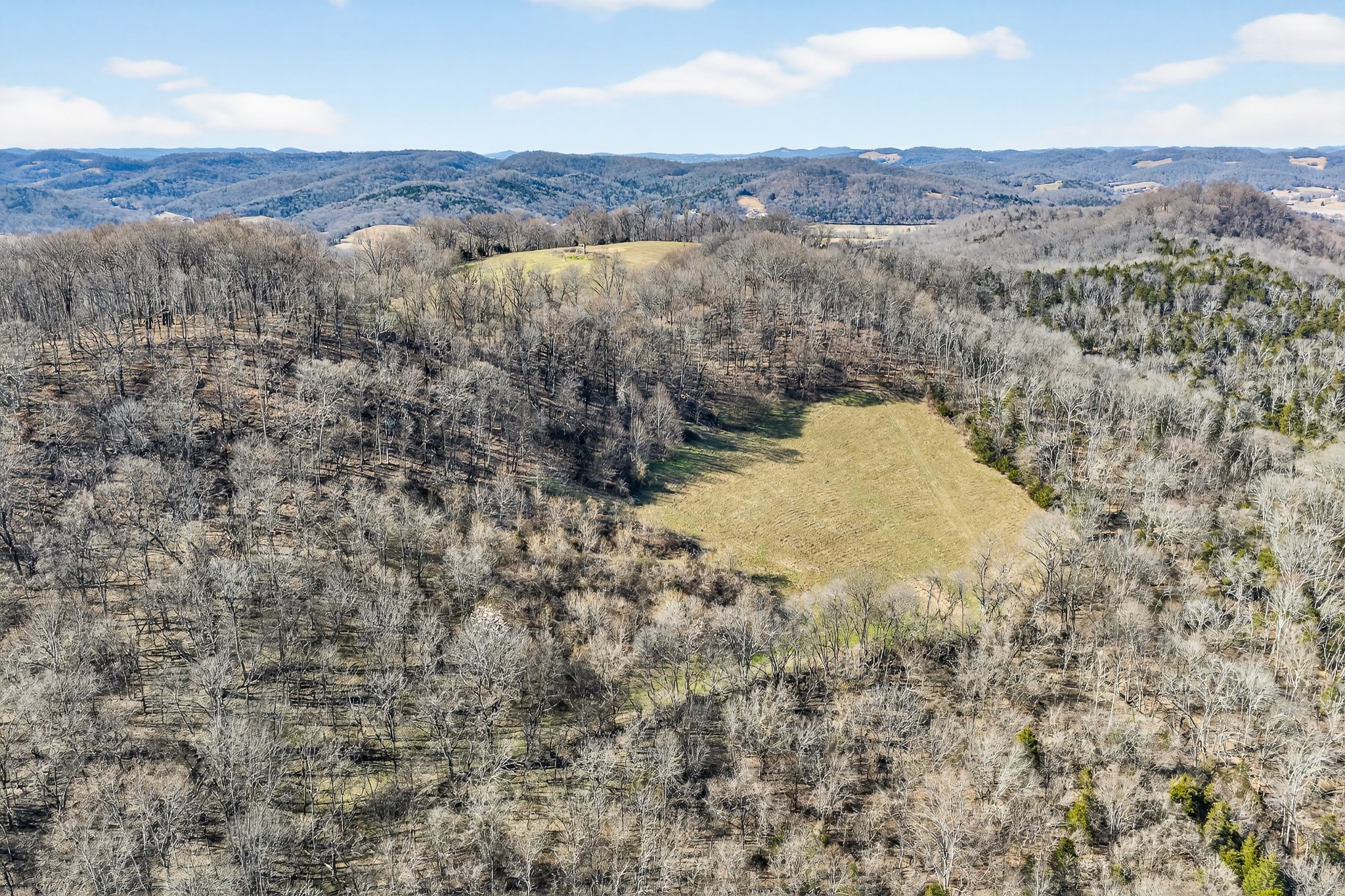 1700 Hannah Branch Road Liberty, TN 37095 - Photo 43 of 59 a view of a dry yard with mountains in the background