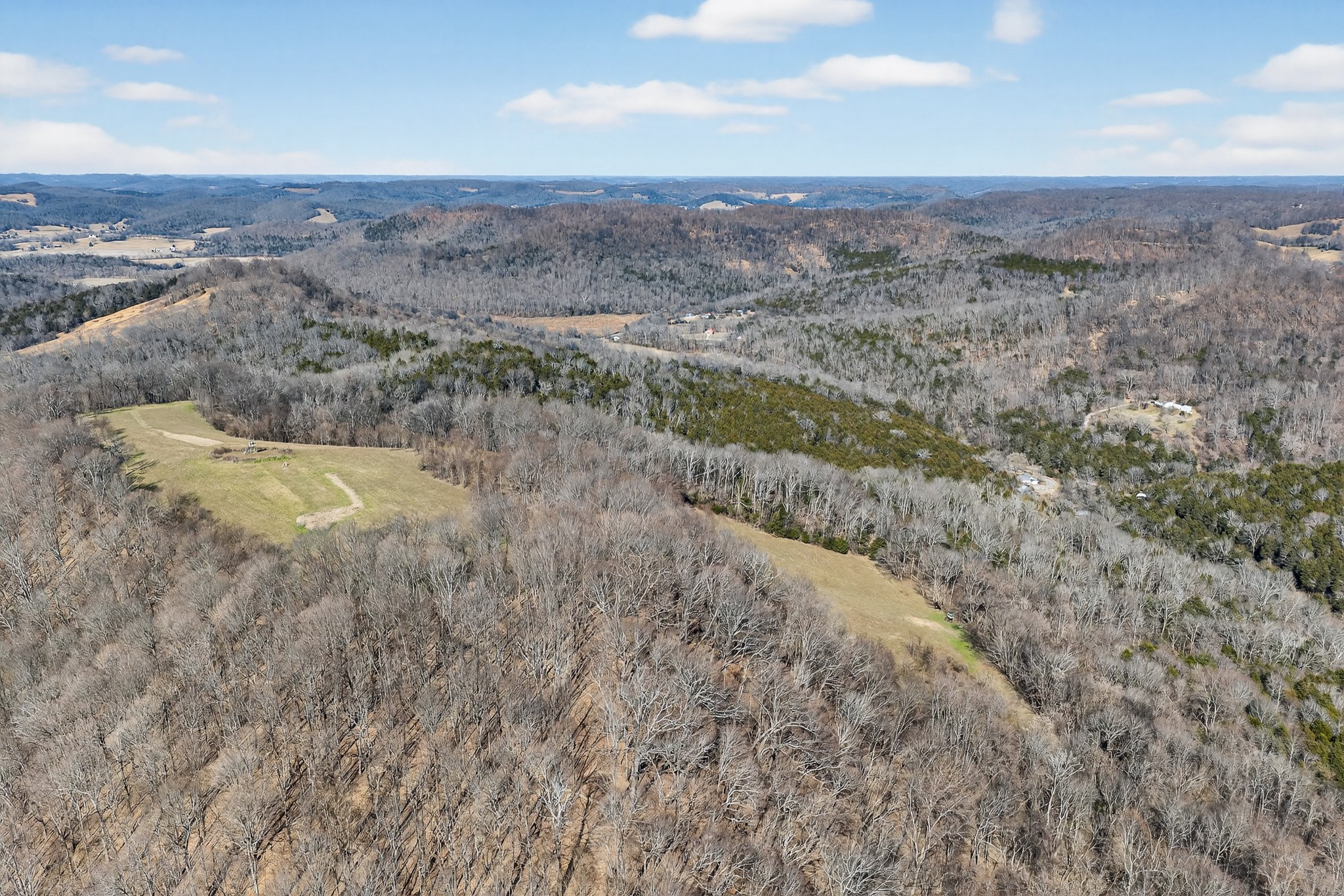 1700 Hannah Branch Road Liberty, TN 37095 - Photo 44 of 59 a view of a dry yard with wooden floor and mountain view
