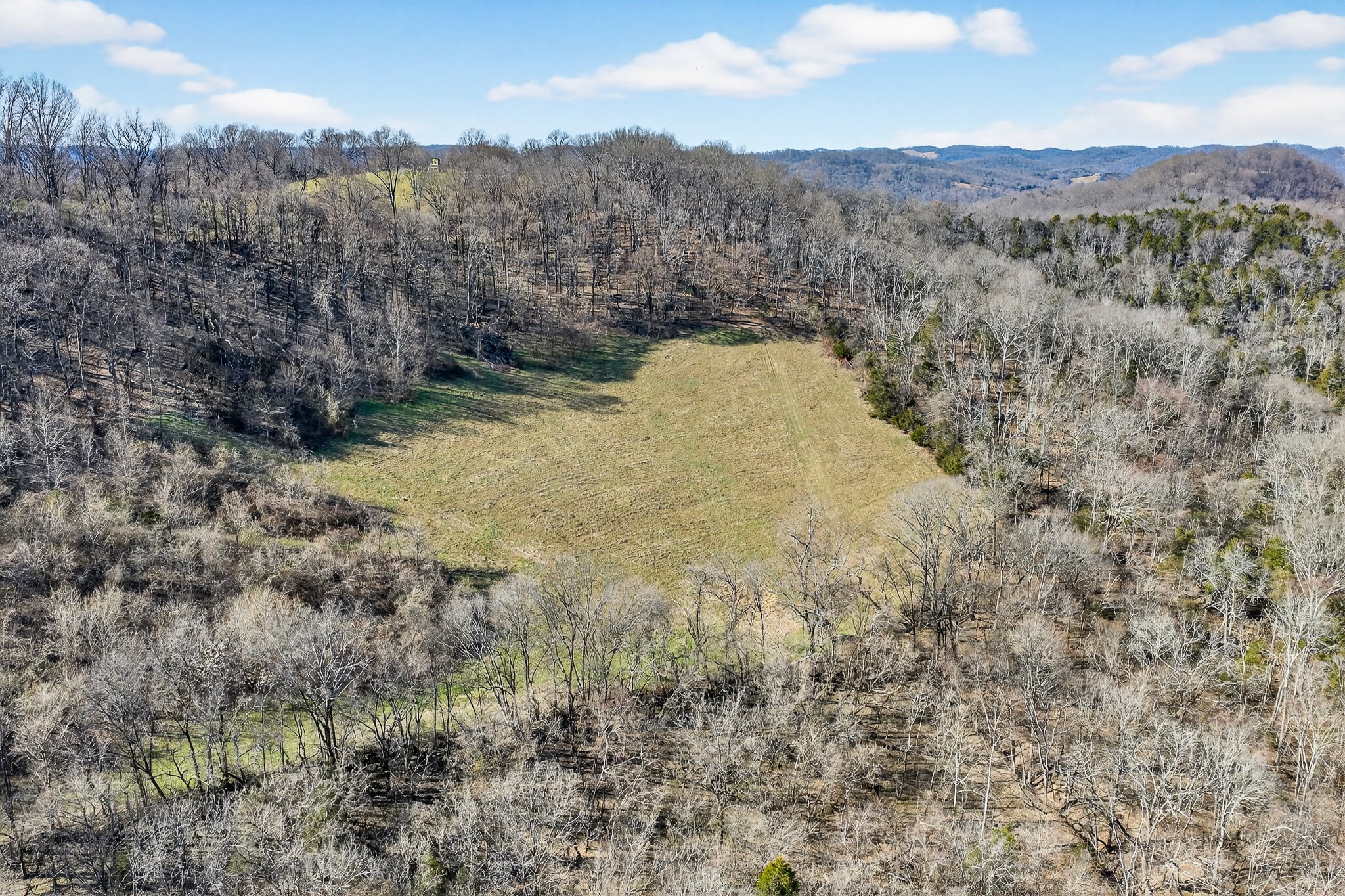 1700 Hannah Branch Road Liberty, TN 37095 - Photo 45 of 59 a view of a dry yard with mountains in the background