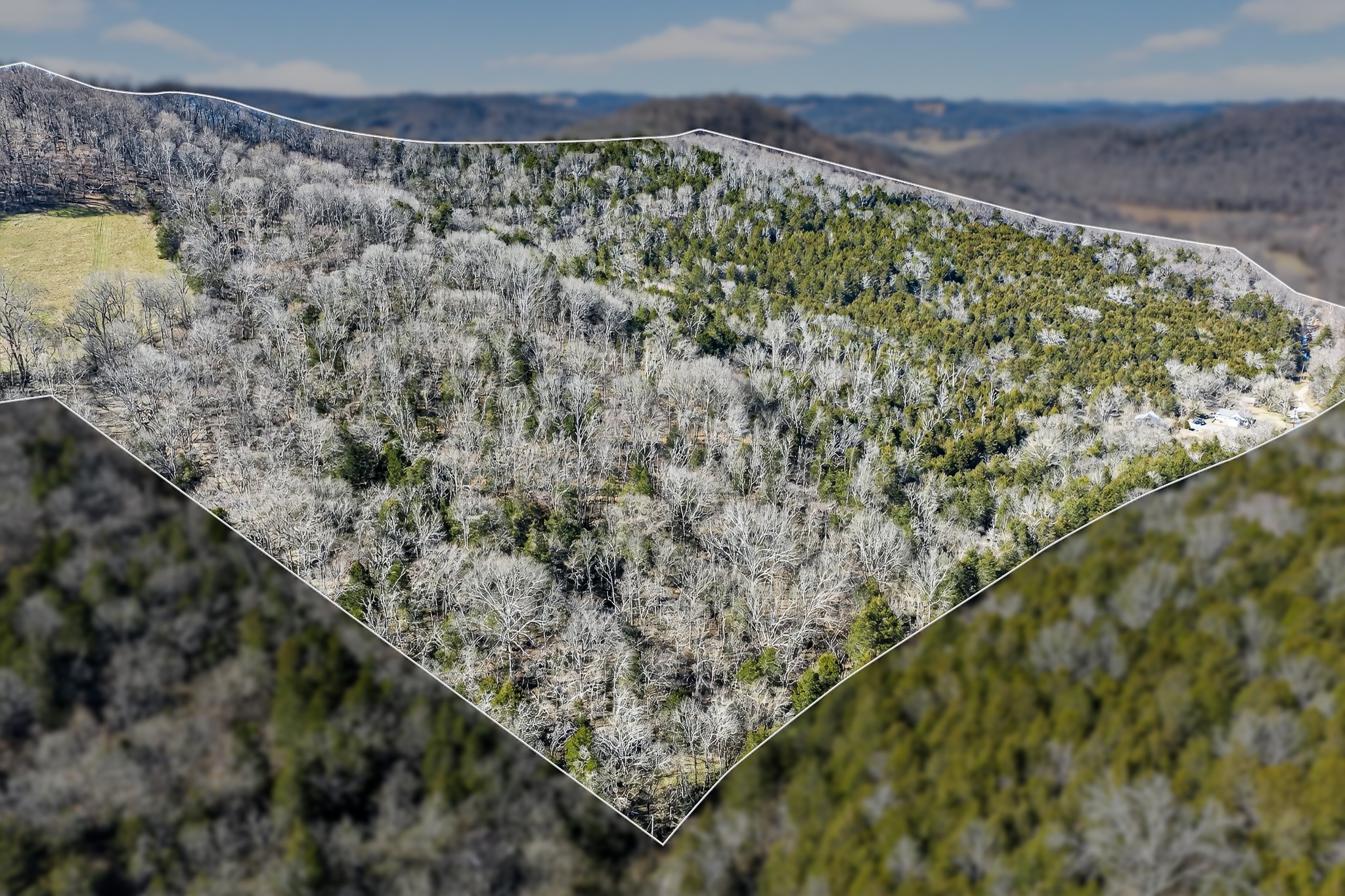 1700 Hannah Branch Road Liberty, TN 37095 - Photo 49 of 59