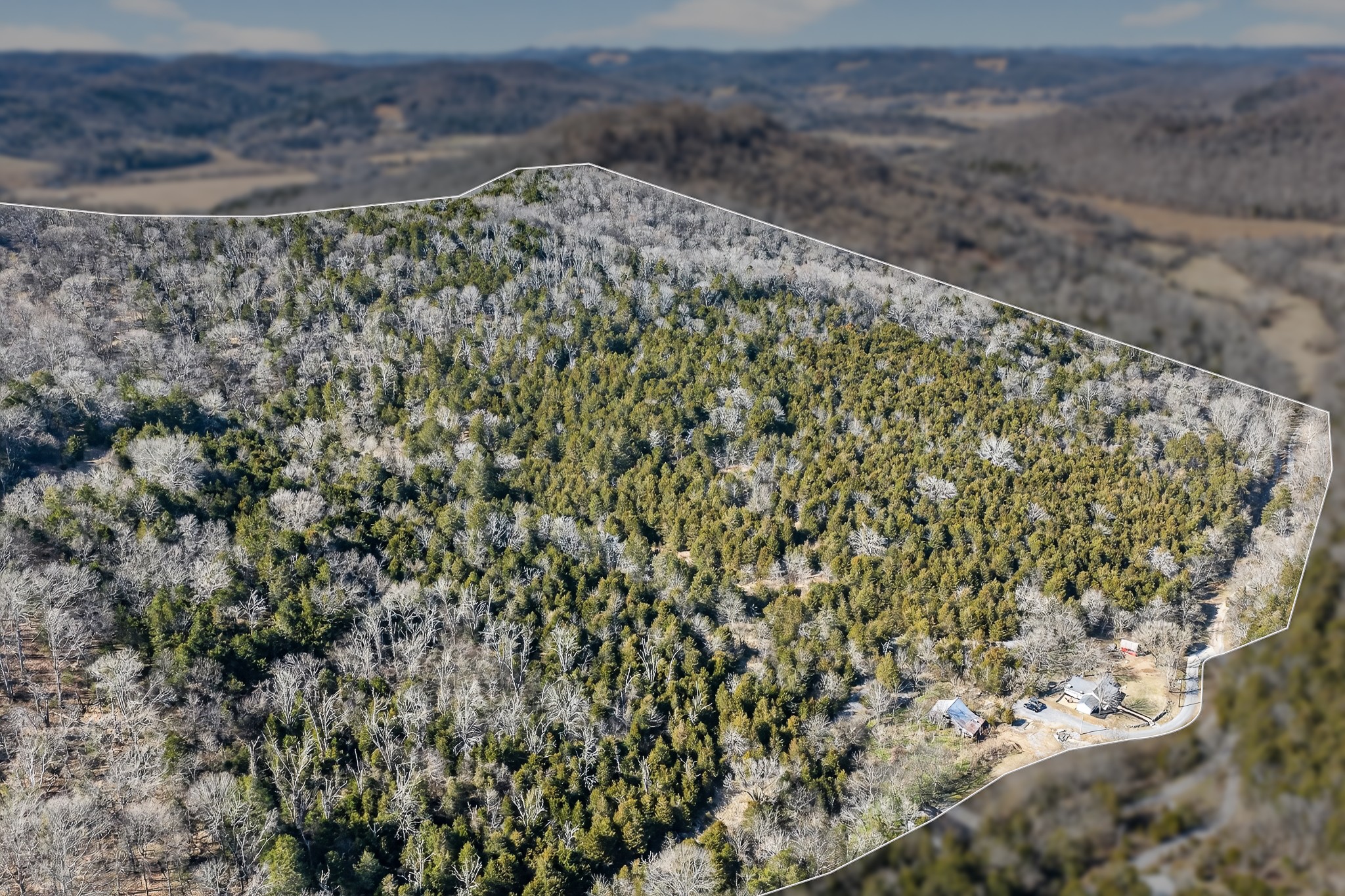 1700 Hannah Branch Road Liberty, TN 37095 - Photo 51 of 59 a view of a dry plant with lots of bushes
