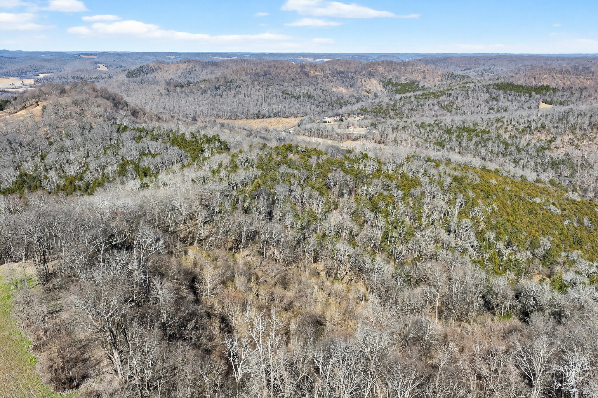 1700 Hannah Branch Road Liberty, TN 37095 - Photo 54 of 59