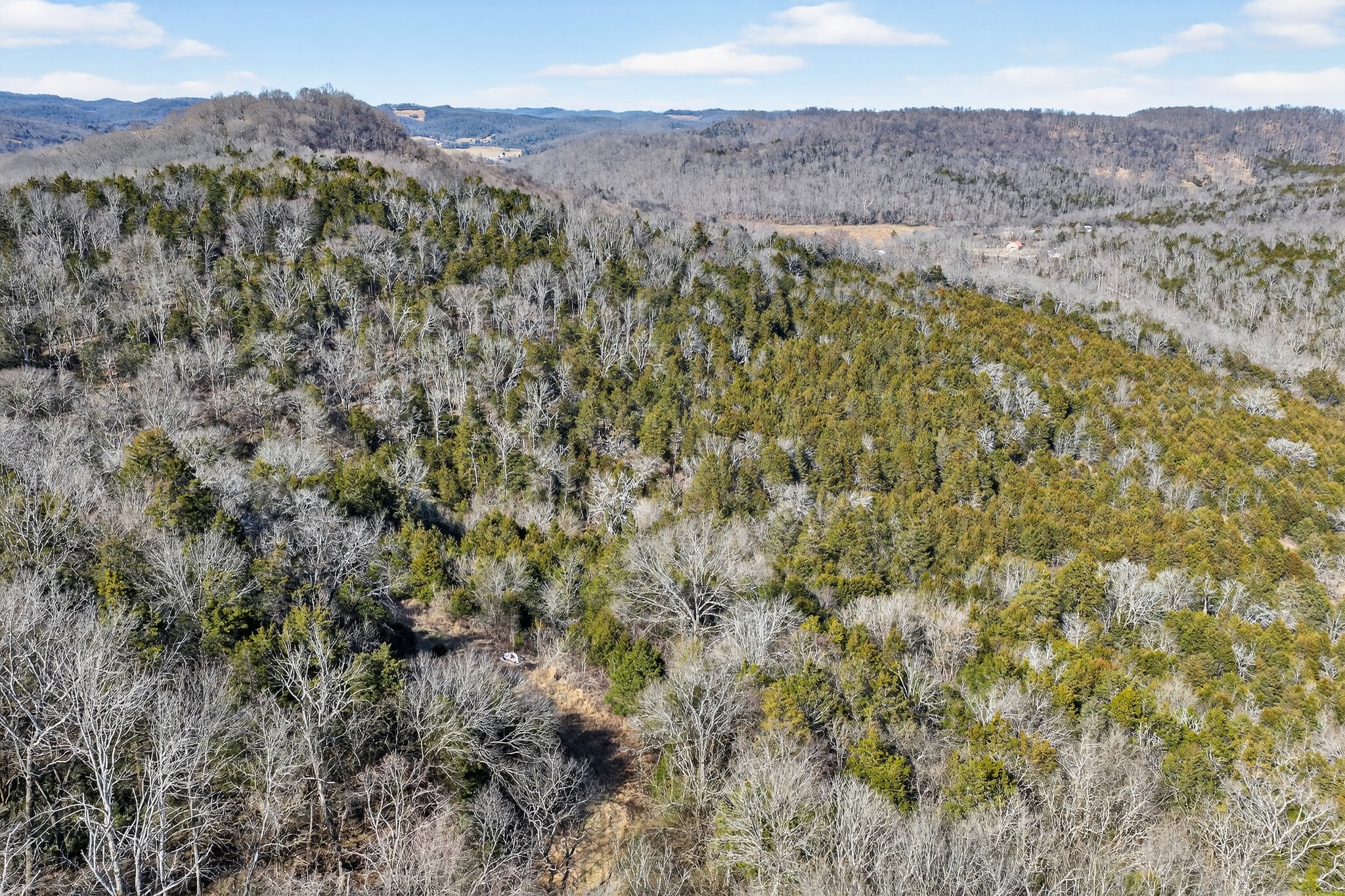 1700 Hannah Branch Road Liberty, TN 37095 - Photo 55 of 59 a view of a mountain with an outdoor space