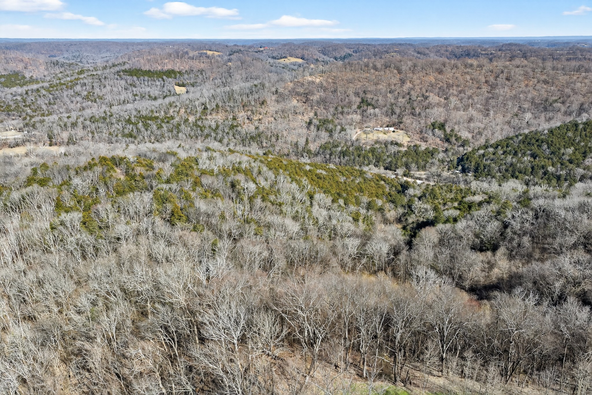 1700 Hannah Branch Road Liberty, TN 37095 - Photo 57 of 59 a view of a dry yard