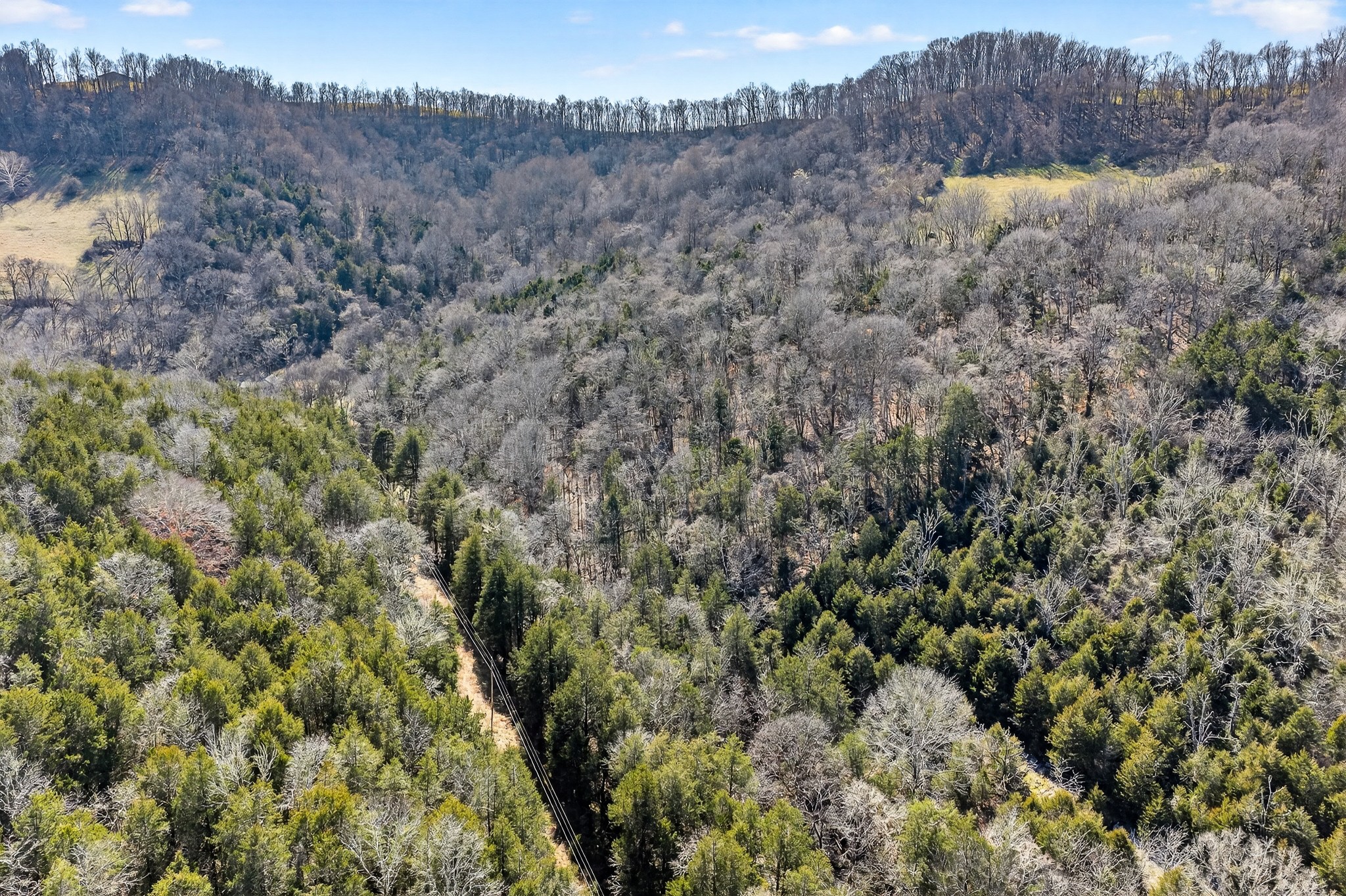 1700 Hannah Branch Road Liberty, TN 37095 - Photo 58 of 59 a view of a dry yard