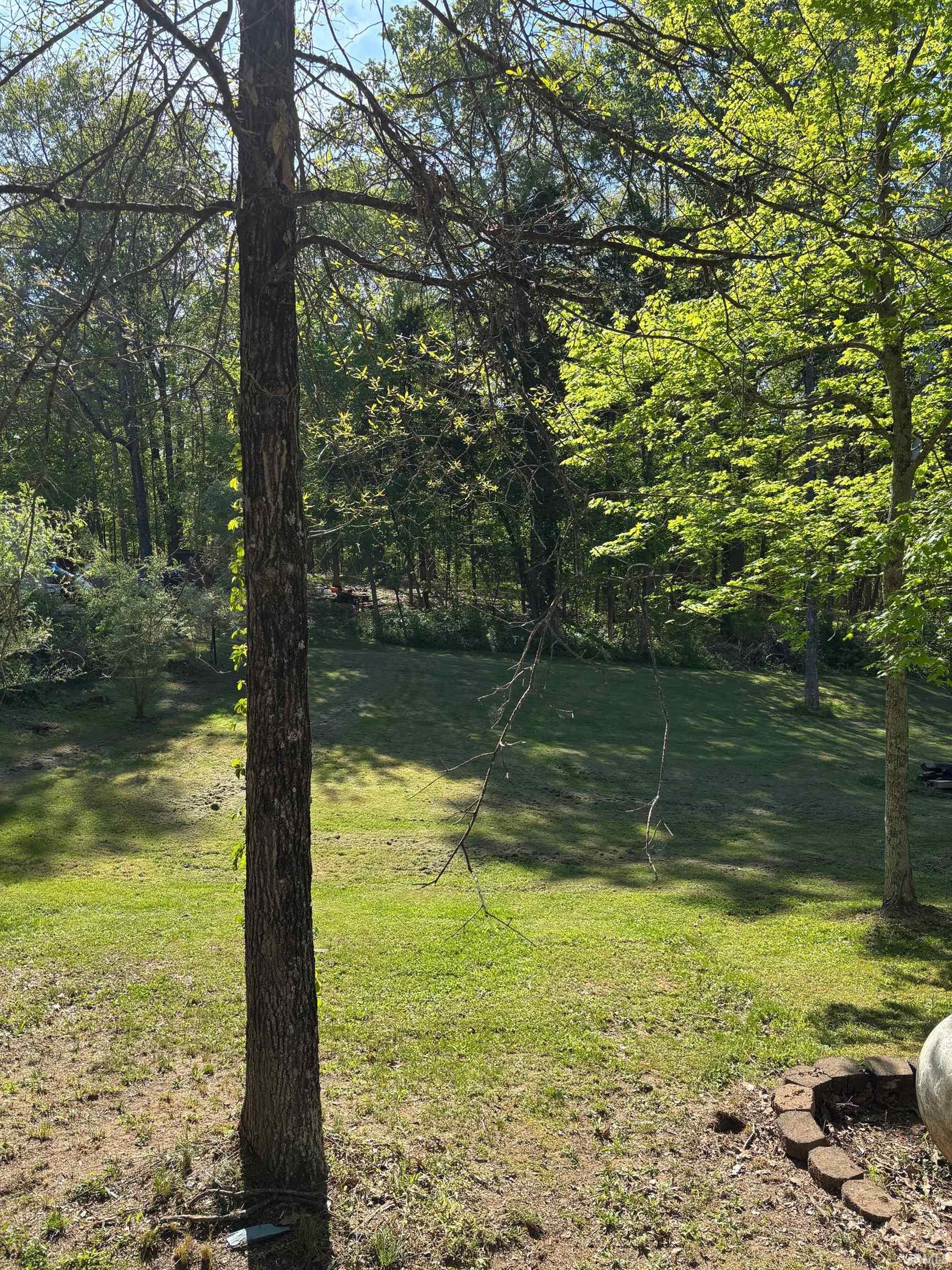 2563 South Meridian Road Mitchell, IN 47446 - Photo 4 of 21
