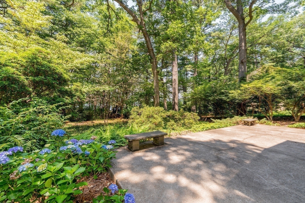 6 Megonko Road Natick, MA 01760 - Photo 30 of 40 a view of backyard with large trees