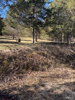 6026 Grandview Road House Springs, MO 63051 - Photo 12 of 12