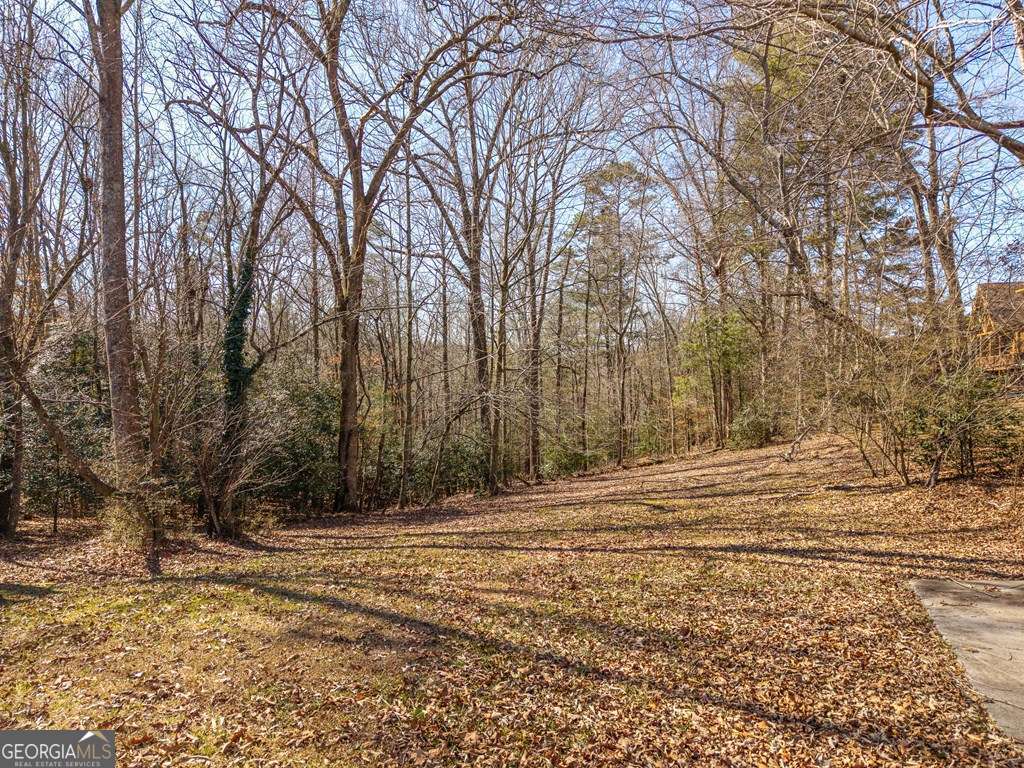 2164 Yukon Road Ellijay, GA 30536 - Photo 12 of 43 a view of a yard with trees