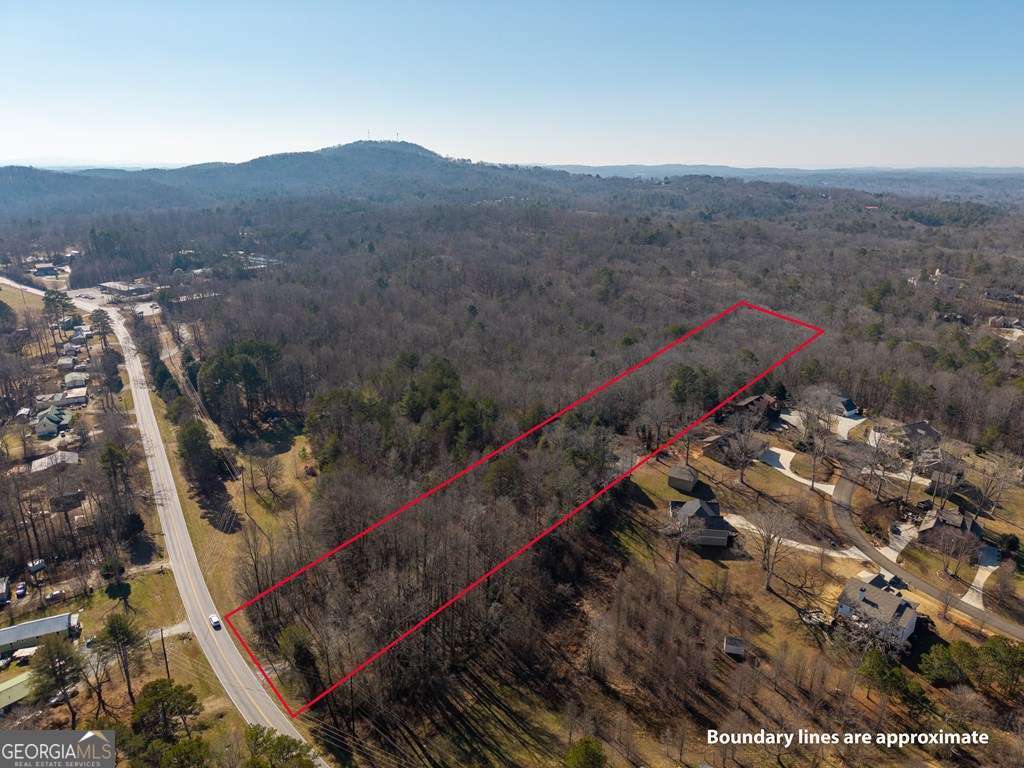 2164 Yukon Road Ellijay, GA 30536 - Photo 16 of 43 a view of a forest with a mountain