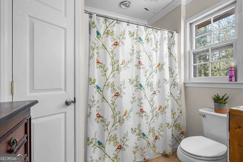 2164 Yukon Road Ellijay, GA 30536 - Photo 36 of 43 a white toilet sitting next to a shower curtain