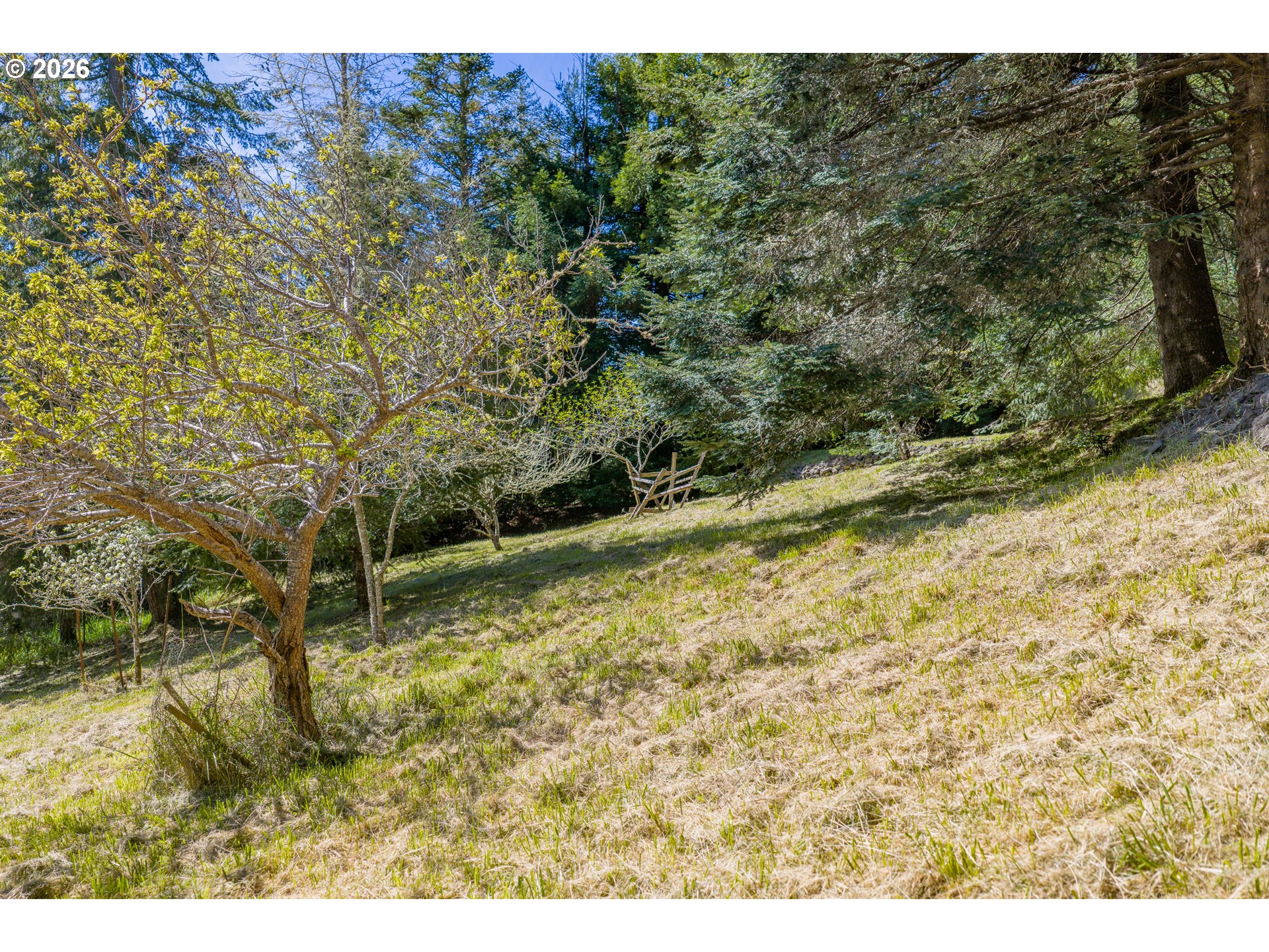 2403 Spruce Street Myrtle Point, OR 97458 - Photo 31 of 35