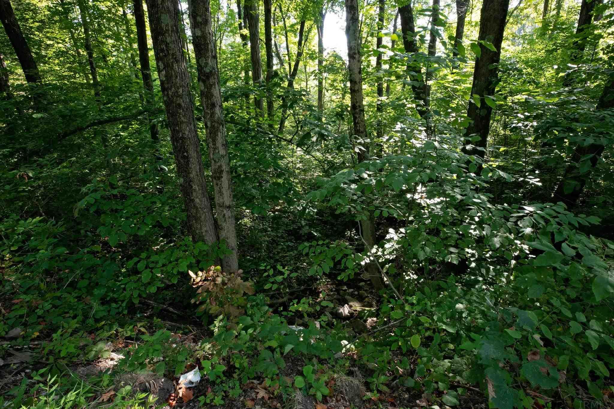 4100 North Louden Road Bloomington, IN 47404 - Photo 19 of 32
