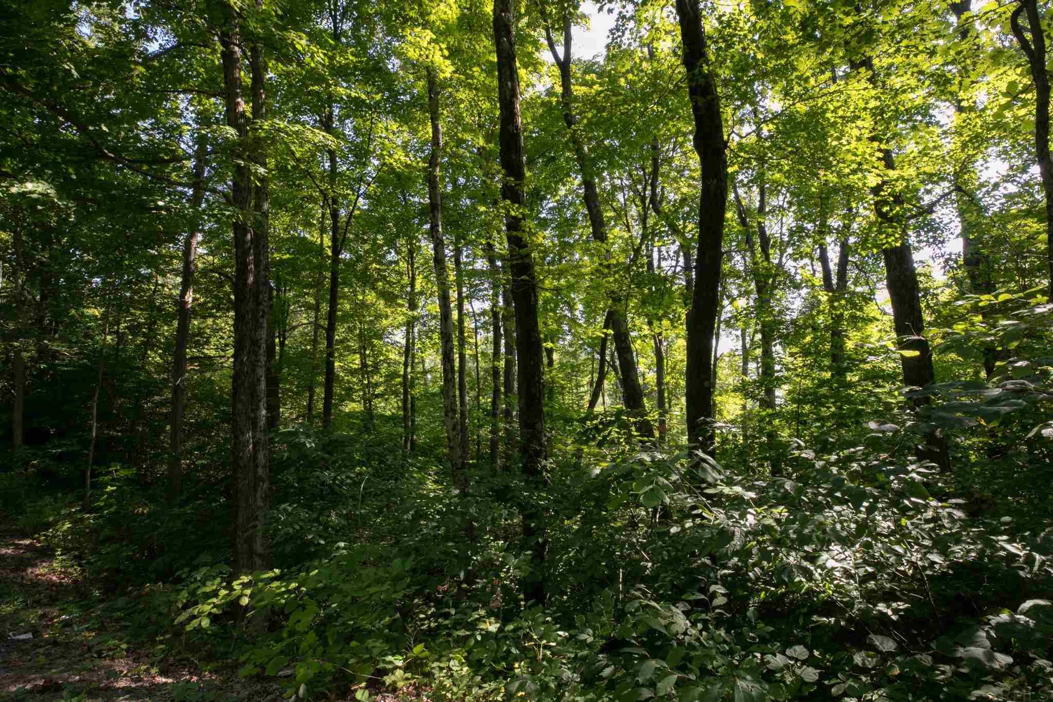 4100 North Louden Road Bloomington, IN 47404 - Photo 21 of 32