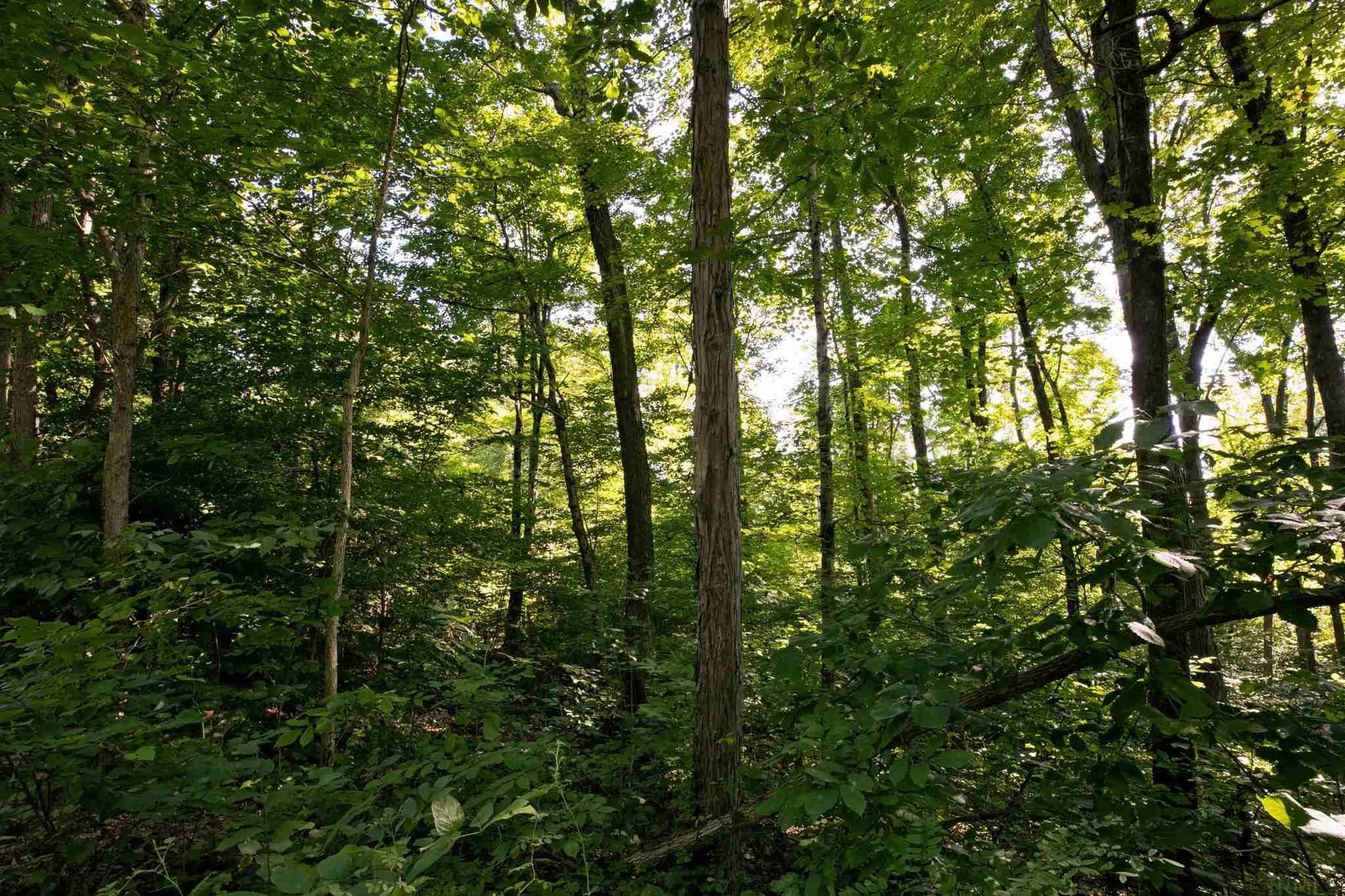 4100 North Louden Road Bloomington, IN 47404 - Photo 22 of 32