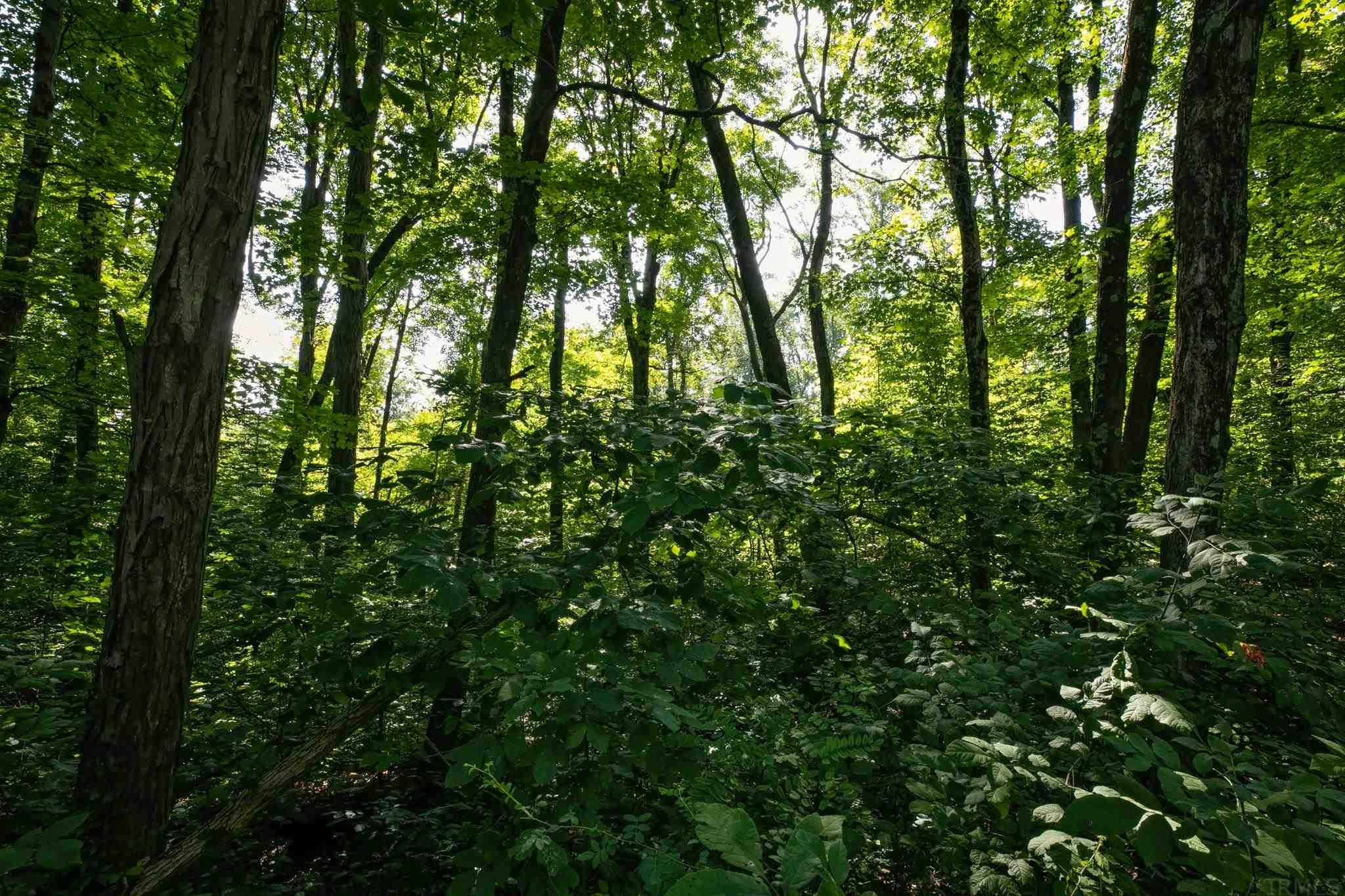 4100 North Louden Road Bloomington, IN 47404 - Photo 23 of 32