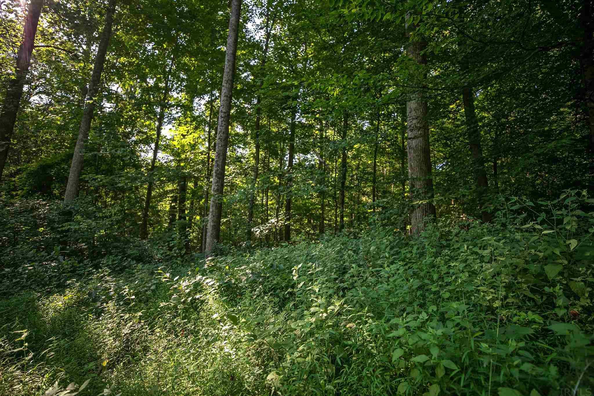 4100 North Louden Road Bloomington, IN 47404 - Photo 30 of 32