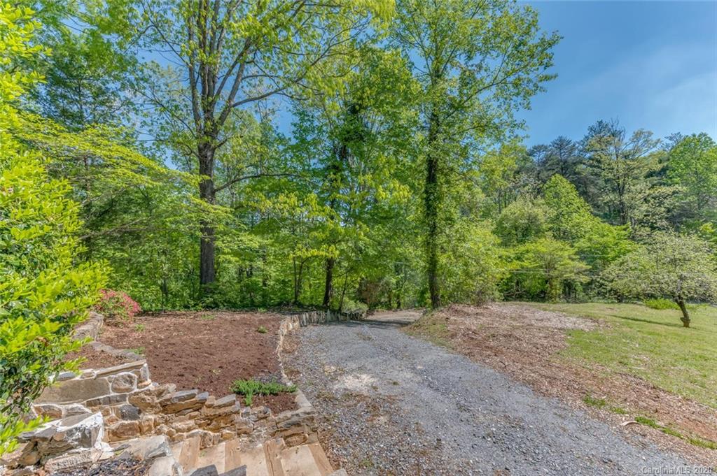 603 Vineyard Road Tryon, NC 28782 - Photo 35 of 39 a view of a forest with trees in the background
