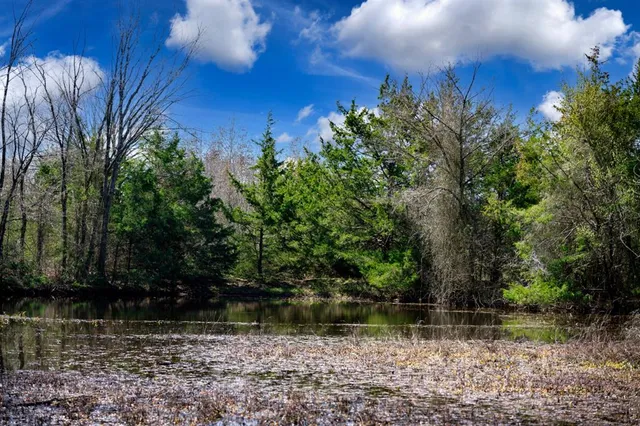 a view of a lake view