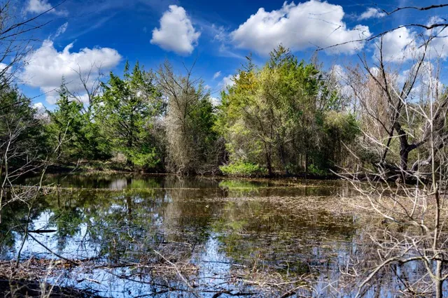 a view of a lake in between two of trees