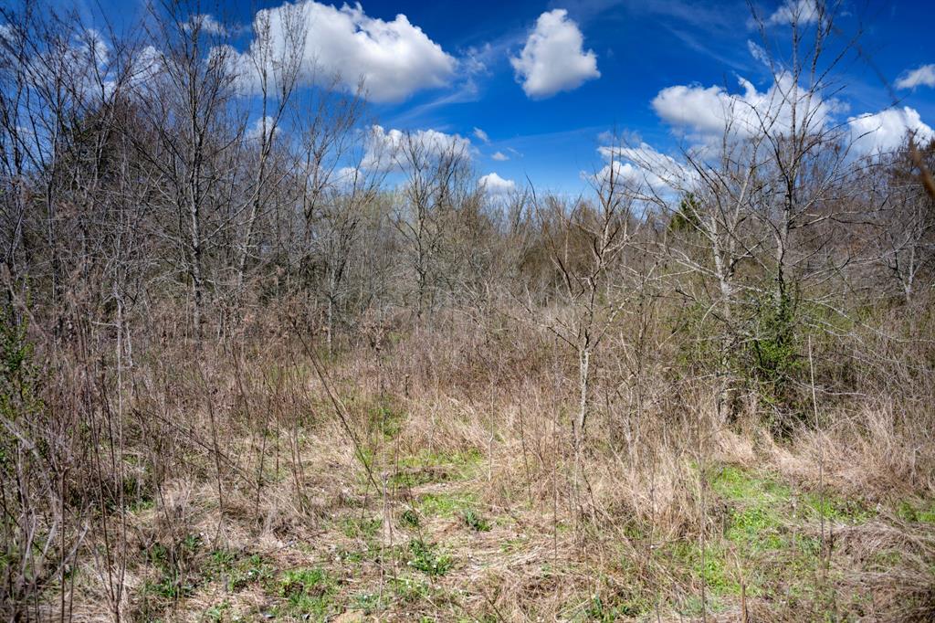 800 County Road 2390 Pickton, TX 75471 - Photo 15 of 23 a view of a backyard of a house
