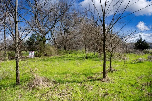 a view of backyard with tree