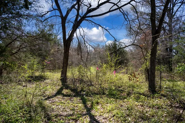 a view of entrance gate of a house