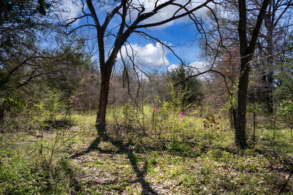 800 County Road 2390 Pickton, TX 75471 - Photo 17 of 23 a view of entrance gate of a house