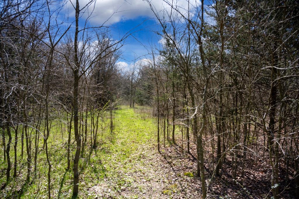 800 County Road 2390 Pickton, TX 75471 - Photo 18 of 23 a view of an outdoor space and a yard