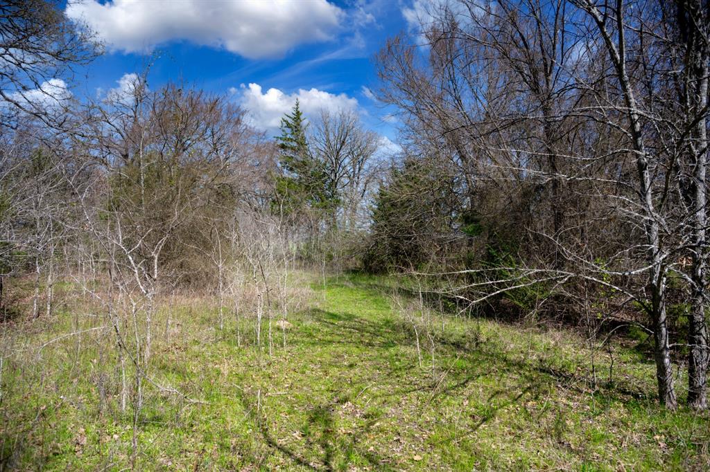 800 County Road 2390 Pickton, TX 75471 - Photo 20 of 23 a backyard of a house with lots of green space