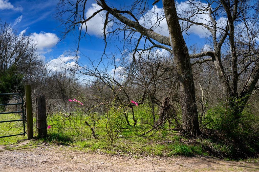 800 County Road 2390 Pickton, TX 75471 - Photo 2 of 23 a view of street and trees