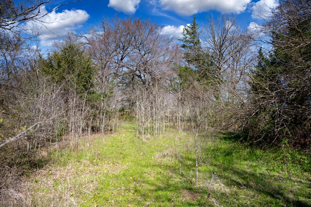800 County Road 2390 Pickton, TX 75471 - Photo 21 of 23 a backyard of a building with large trees and plants