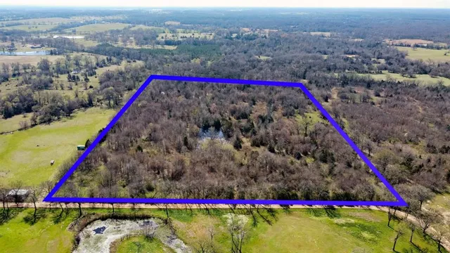 a view of a yard with a wooden bridge