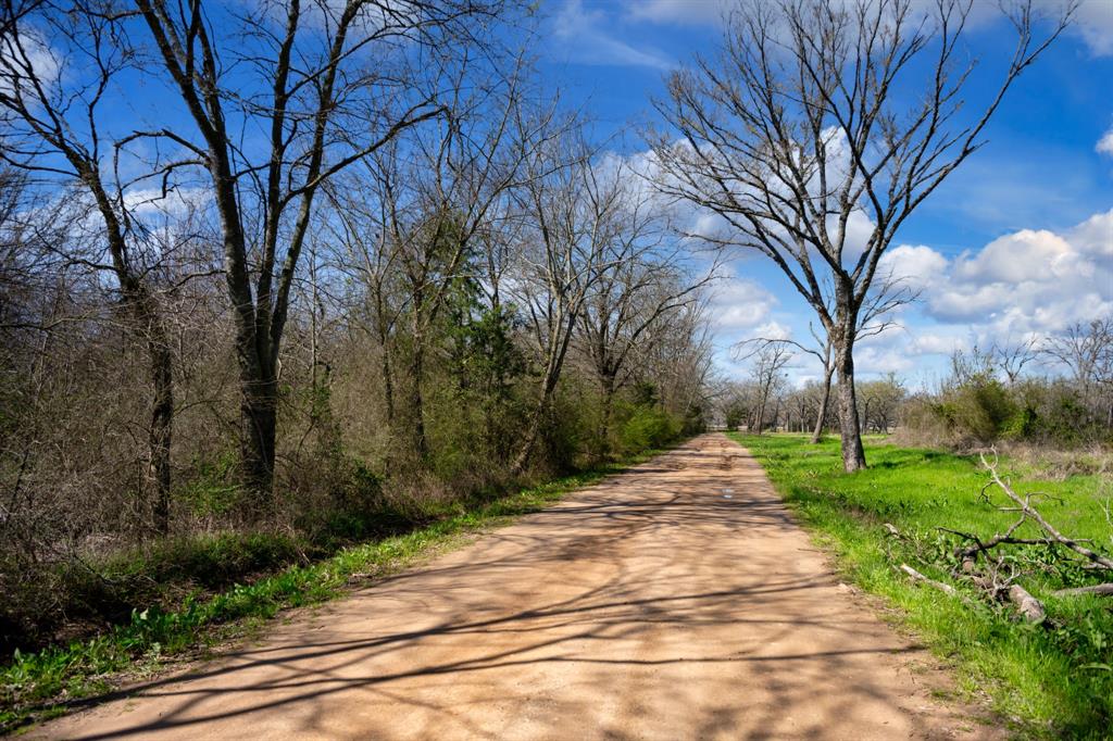 800 County Road 2390 Pickton, TX 75471 - Photo 3 of 23 a street view with large trees
