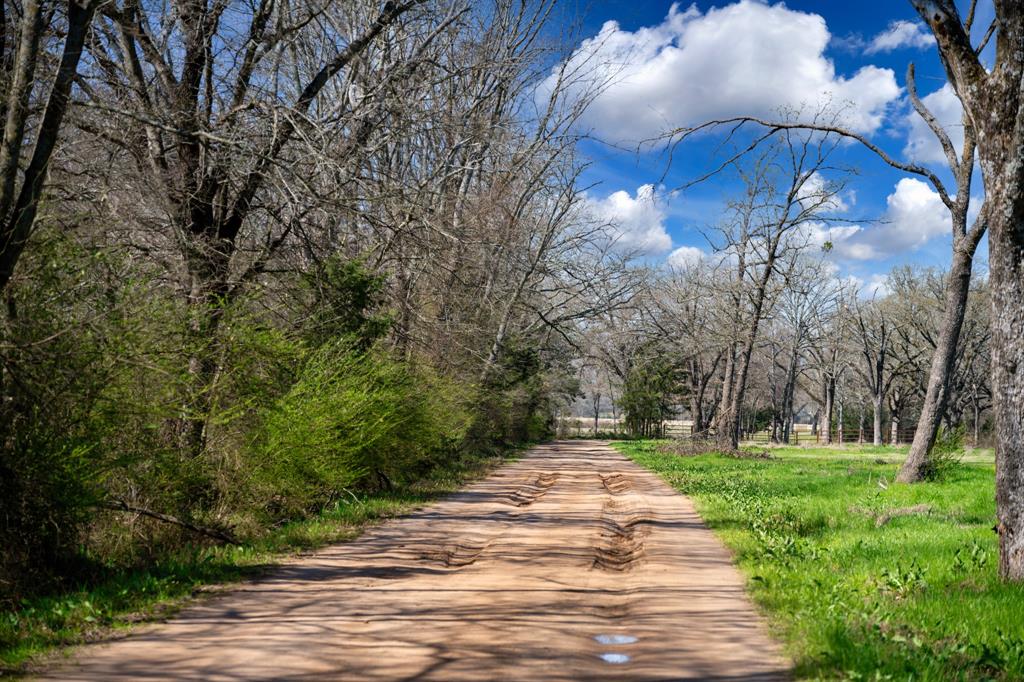 800 County Road 2390 Pickton, TX 75471 - Photo 4 of 23 a view of a yard with plants and a fountain