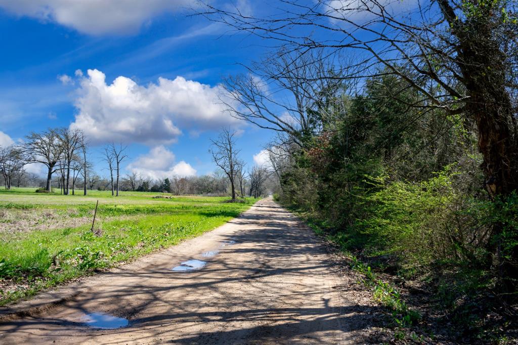 800 County Road 2390 Pickton, TX 75471 - Photo 5 of 23 a view of a yard with flower plants and trees