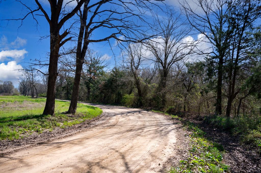 800 County Road 2390 Pickton, TX 75471 - Photo 6 of 23 a backyard of a house with lots of green space