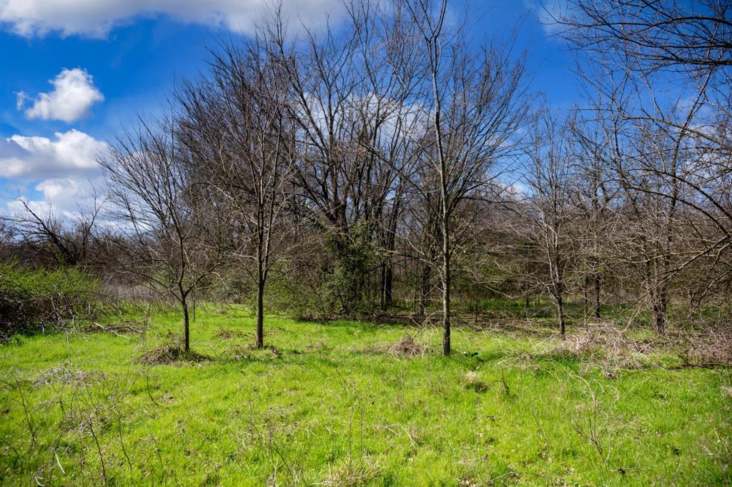 800 County Road 2390 Pickton, TX 75471 - Photo 8 of 23 a view of an outdoor space with a lake view
