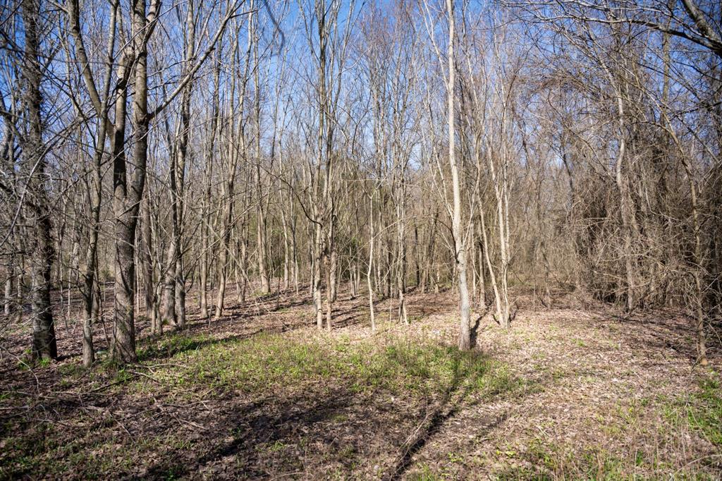 800 County Road 2390 Pickton, TX 75471 - Photo 10 of 23 a view of outdoor space with wooden fence