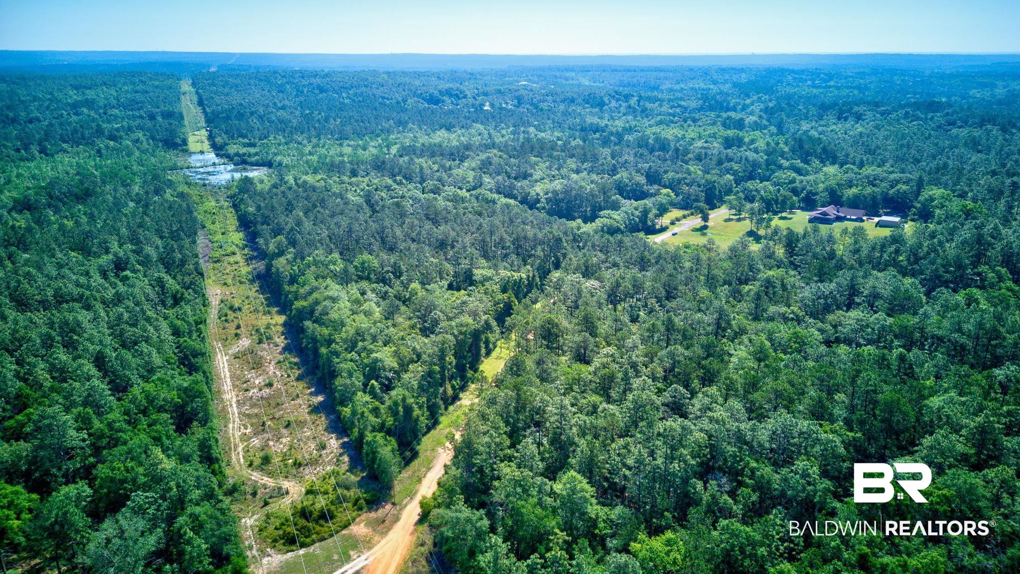 0 Evans Road Chunchula, AL 36521 - Photo 3 of 19
